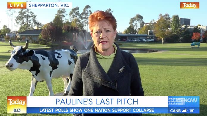 Pauline Hanson on the Today Show firing back at Deborah Knight's questions about One Nation's ratings dropping.