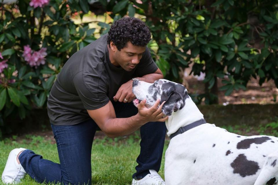 The Seattle Seahawks quarterback has joined the Banfield Foundation's Safer Together initiative in an effort to provide more resources to pet owners in abusive situations