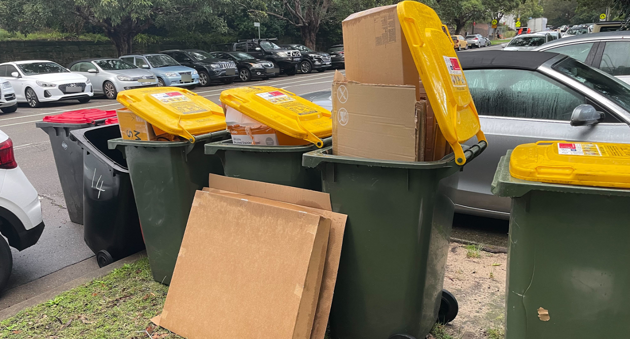 Yellow bins out the front of a home in Bellevue Hill, NSW. There are large amounts of cardboard in some.