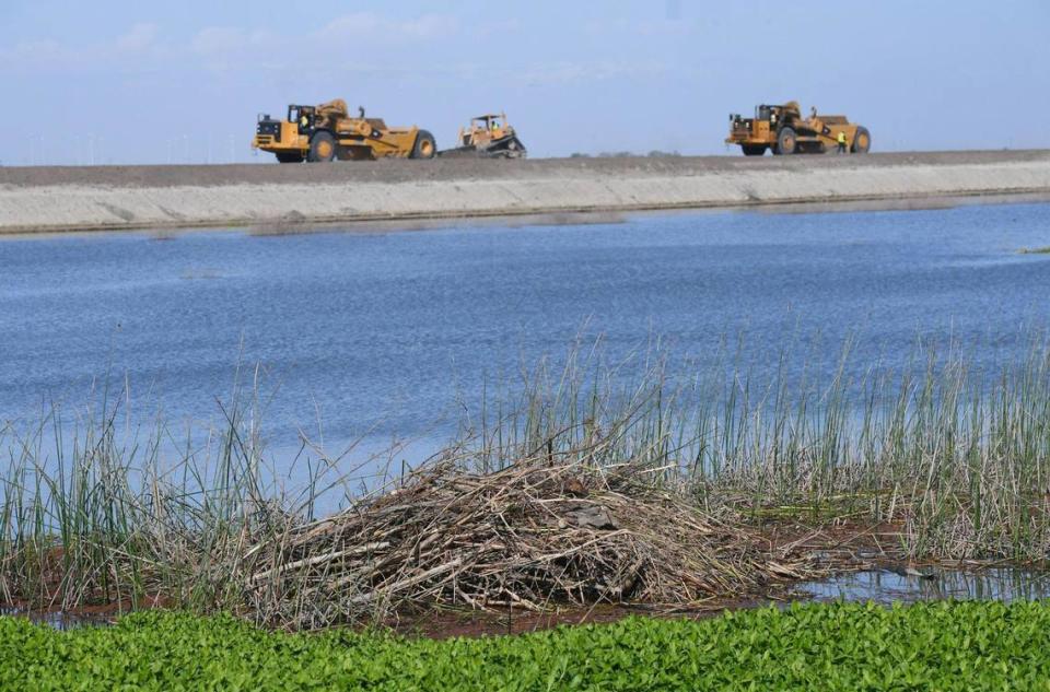 A beaver dam is seen in the foreground as heavy mcachinery continues to build up the levee in anticipation of snow melt raising Tule Lake Tuesday afternoon, April 25, 2023 just south of Corcoran, CA.