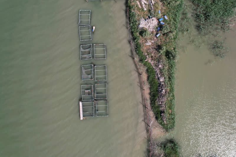 A view shows the fish pond which was abandoned due to water pollution and shortages in Basra