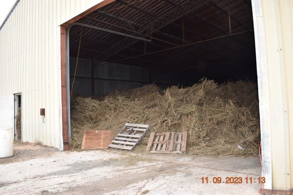 Marijuana plants inside building.