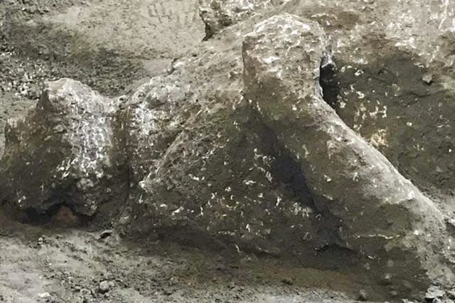 Remains of 'man and his slave' fleeing Vesuvius eruption unearthed at Pompeii