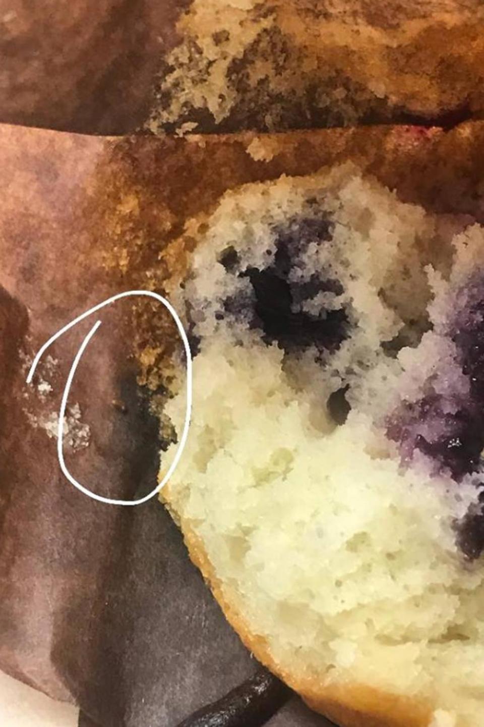 One of the ants, circled on the muffin's wrapper