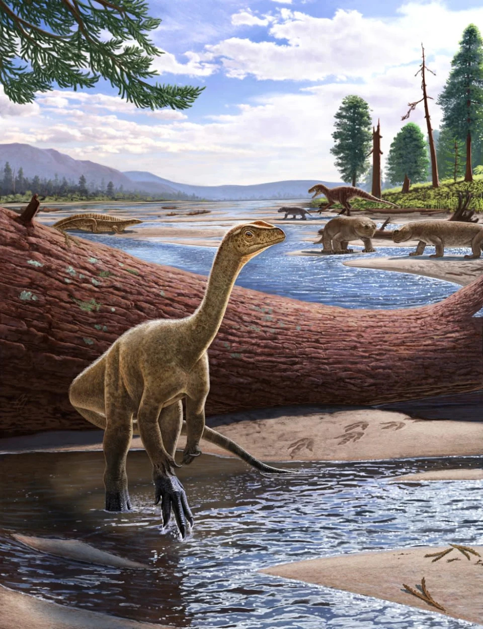 Africa’s oldest dinosaur discovered in Zimbabwe