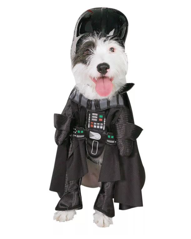 Get this <a href="https://goto.target.com/g9Pk0" target="_blank" rel="noopener noreferrer">Star Wars Darth Vader Dog Costume for $16 </a>at Target. It's available in size medium and has a headpiece.