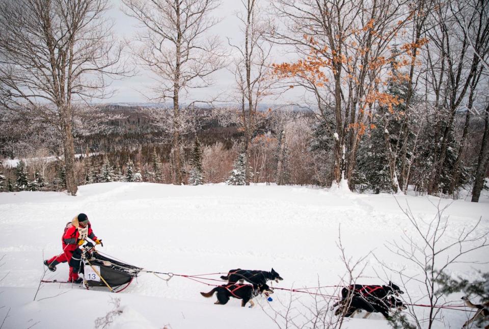 PHOTO: Nathan Schroeder and his dog sled team pasted a vista overlooking the border with Canada during the John Beargrease sled dog marathon, Jan 28, 2023, Grand Portage, Minn. (Alex Kormann/Star Tribune via Getty Images)