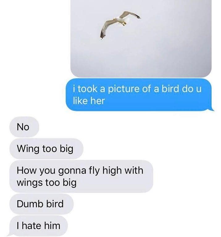 person sending a pic of a bird and the other person says i hate him dumb bird wing toobig