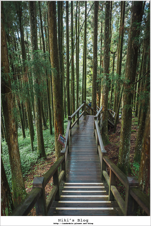 阿里山輕旅行