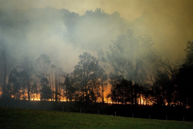 A bushfire burns in New South Wales