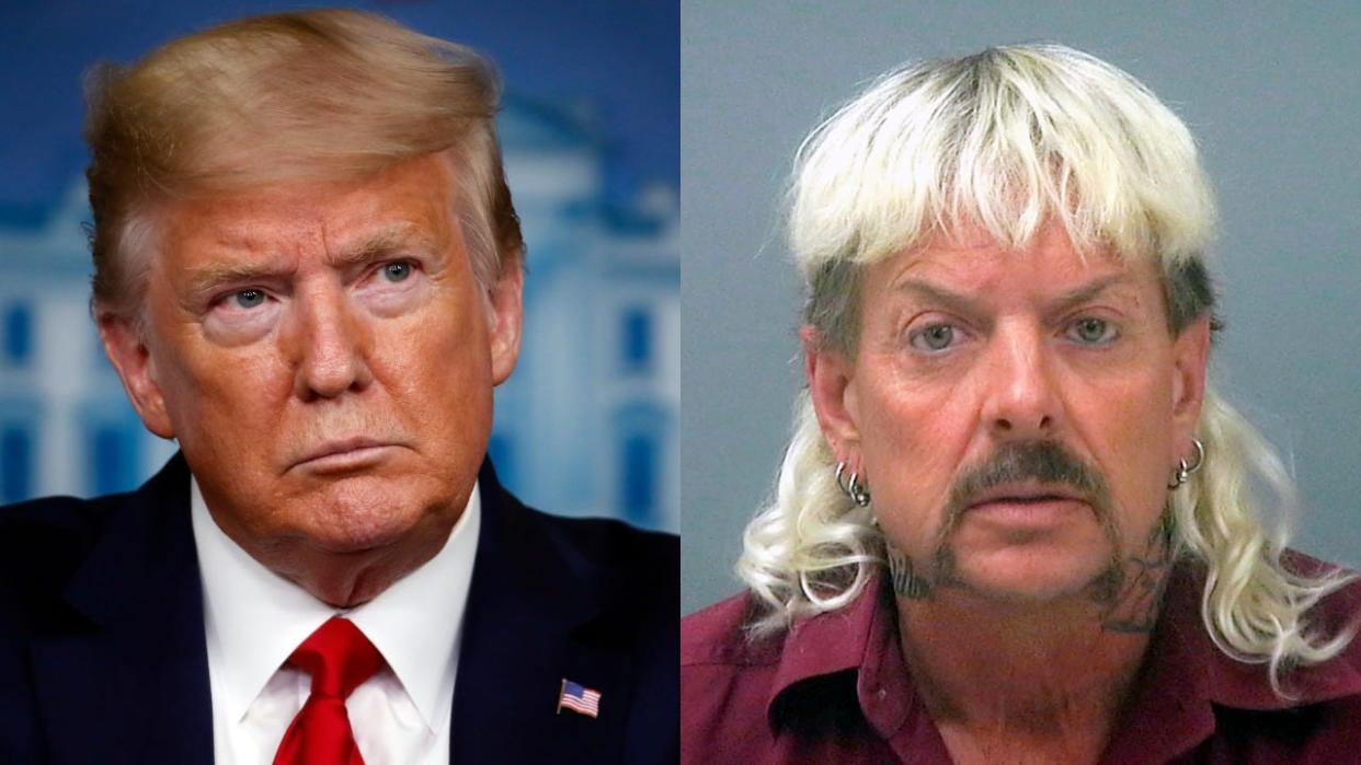 donald trump, joe exotic