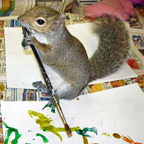 Portrait of an artist: Winkelhimer Smith is a squirrel