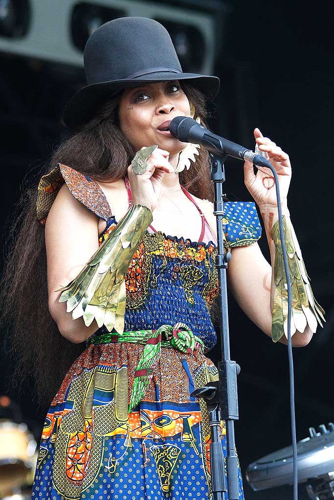 Erykah Badu Music Festival