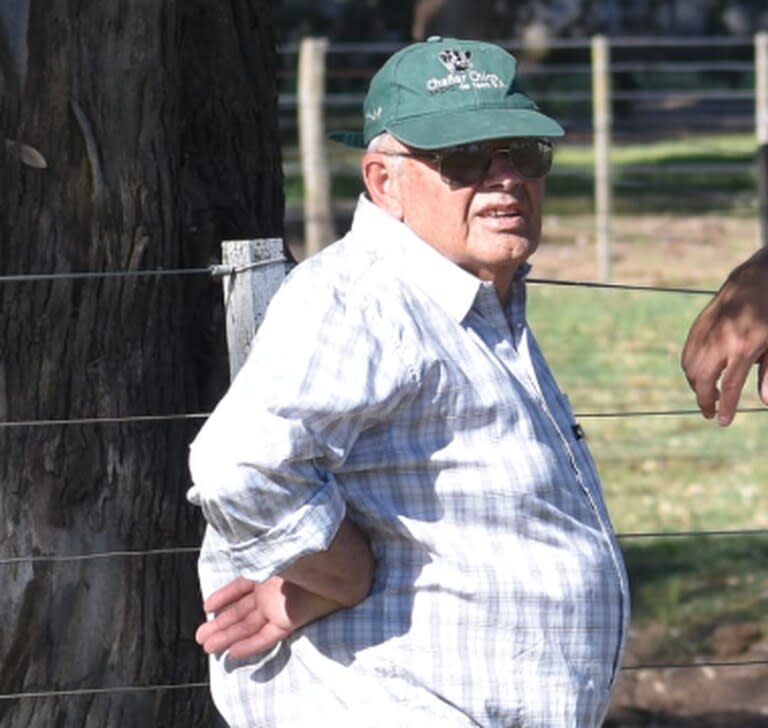 Los Teso, con su cabaña Chañar Chico, crían animales de las razas Angus, Hereford, Shorthorn y Murray Grey