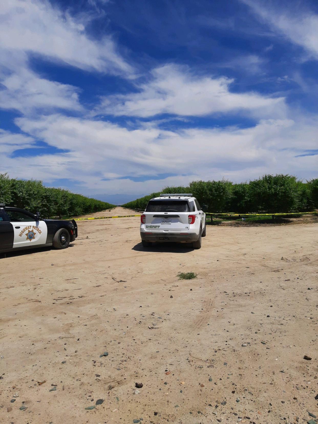 Tulare County deputies arrested Daniel Mere Saldana, 36, of Merced, after he allegedly led law enforcement on a chase near Highway 99, temporarily closing the busy route Sunday afternoon.