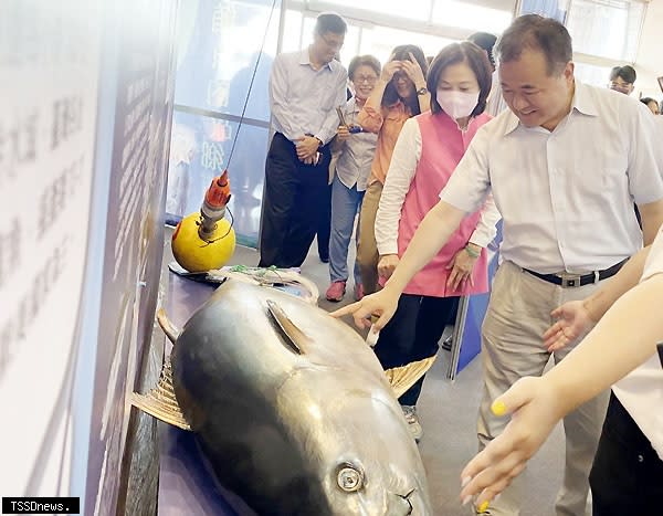 東港漁民捕獲今年最大「鮪」，重達三百八十三公斤。（記者毛莉翻攝）