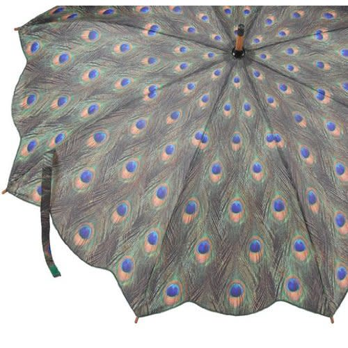 Peacock Umbrella