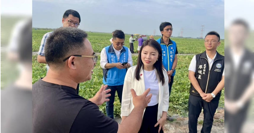 國民黨立委張嘉郡近期接獲農民陳情，反映受連日雨水影響，導致西瓜出現裂果等損害，她也要求農糧署盡速啟動天然災害救助程序。（圖／張嘉郡辦公室提供）