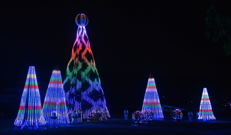 Wild Winter Lights preview at the Cleveland Metroparks Zoo on November 12, 2020. (Kyle Lanzer/Cleveland Metroparks)