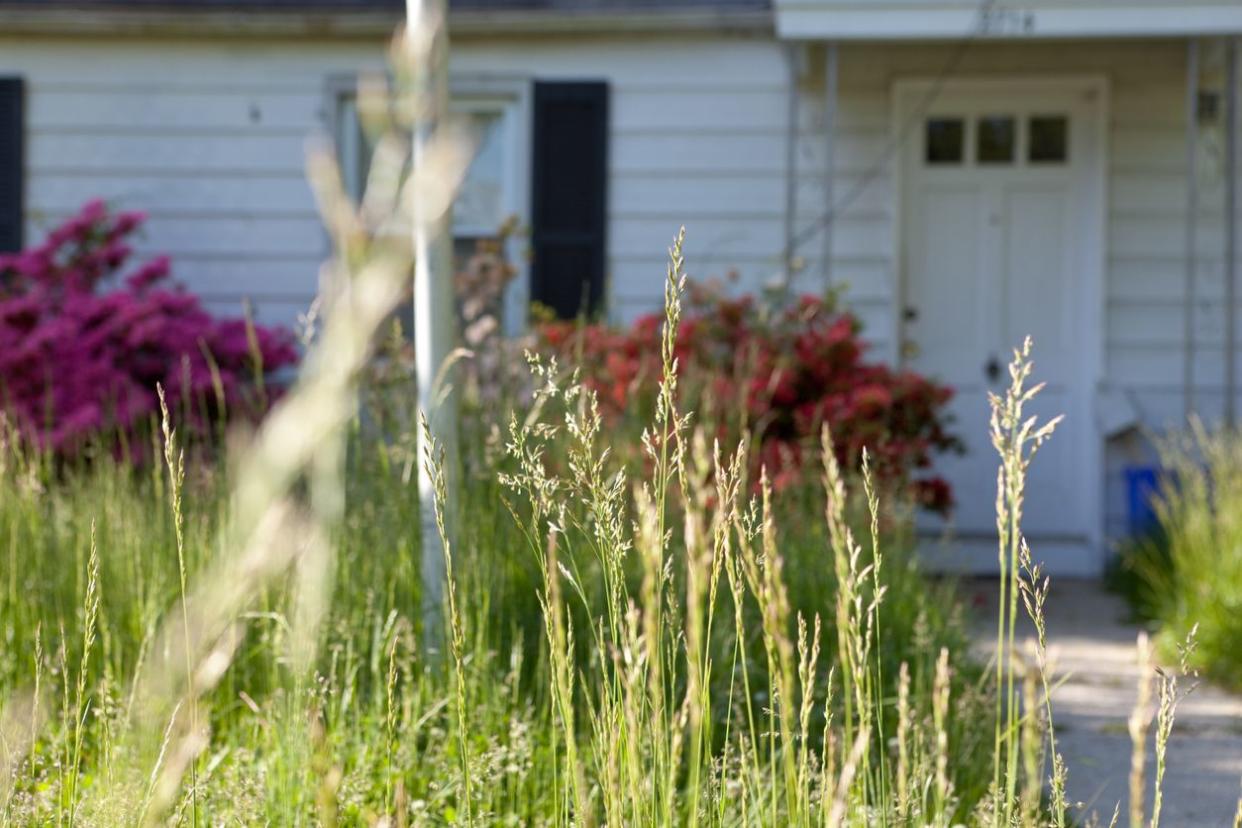 <p>“Natural landscaping” might indicate that there’s actually very little landscaping at all. Rather, the property might have lots of wild-growing flora that needs to be cleared to create an organized outdoor living space, depending on your taste.</p><span class="copyright"> qingwa/istockphoto </span>