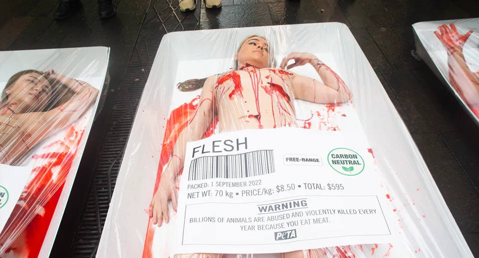 The word flesh was written across the human-sized meat packets. Source: Chrissie Hall