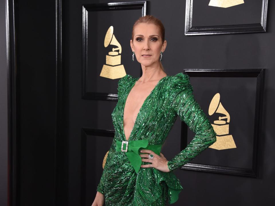 Celine Dion on the Red Carpet at the 59TH annual Grammy Awards in 2017.