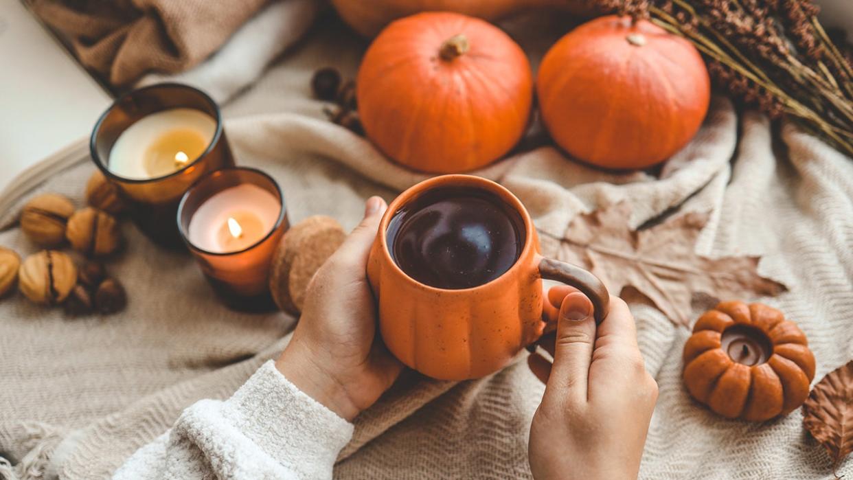 Turn everything you love into a pumpkin spice version this fall.