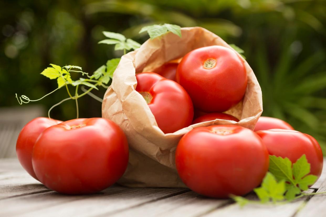 vegetables that are actually fruit tomatoes