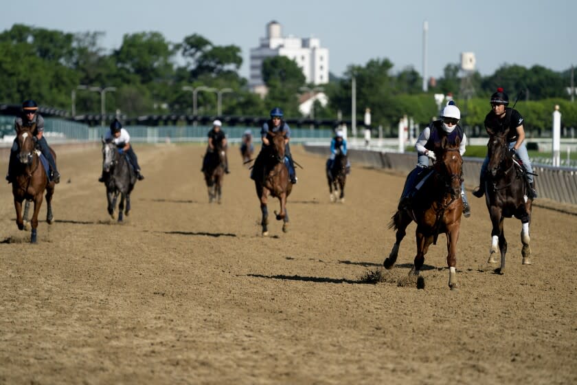 Horses train before the 154th running of the Belmont Stakes horse race, Friday, June 10, 2022, in Elmont, N.Y. (AP Photo/John Minchillo)