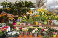 <p>Blumen als Dekoration sind ein Luxusgut. Luxus hat seinen Preis. Warum sollte man für viel Geld einen Blumenstrauß kaufen, der viel Arbeit bedarf und dementsprechend teuer ist? Der Strauß von der Tanke tut es doch auch. Freilich denkt nicht jeder so, doch nicht jeder kann oder möchte eben viel Geld für einen individuell gestalteten Strauß ausgeben, wenn es auch günstiger geht. </p>