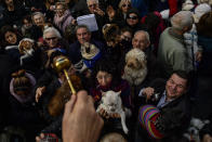 <p>The hand of Santiago Fulero, Major priest of the Saint Pablo church, blesses people with their pets outside of the church, during the feast of St. Anthony, Spain’s patron saint of animals, in Zaragoza, northern Spain, Wednesday, Jan.17, 2018. (Photo: Alvaro Barrientos/AP) </p>