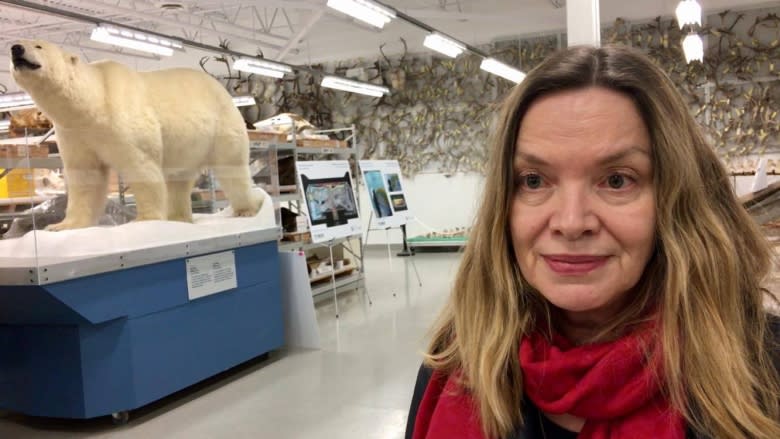 Arctic Gallery at Canadian Museum of Nature prepares for June opening