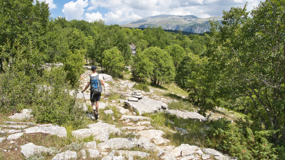 A man walks along a path in Monodendri, one of the Zagori villages