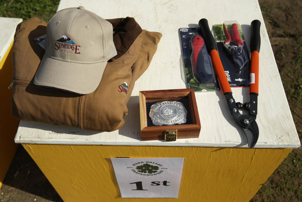 In this Thursday, Feb. 20, 2014 photo, prizes are displayed on a podium for the first-ever women's division of the annual Napa Valley Grapegrowers' pruning competition at Beringer Vineyards' Gamble Ranch in Yountville, Calif. The decision to add a woman's division to the annual contest reflects demographic changes as more women have moved into the traditionally male field of vine husbandry. (AP Photo/Eric Risberg)