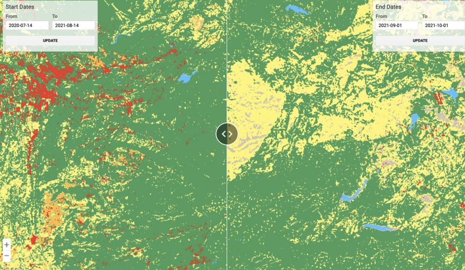 A comparison between northern California pre- and post-Caldor fire. Areas in green are tree cover and areas in yellow are “shrub and scrub