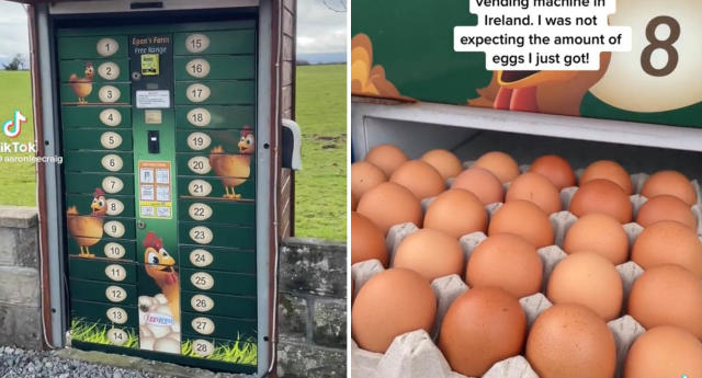 Egg Vending Machines May Be the Future of Farm-Fresh Eggs