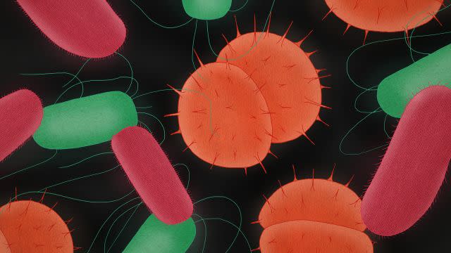 Not your grandma's bacteria.