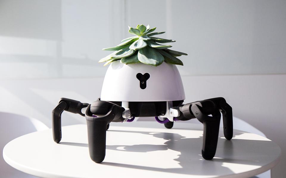 Robot Planter Will Walk In and Out of Sunlight