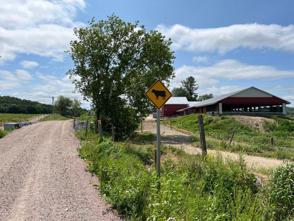 A cow crossing sign on the Lamoille Valley Rail Trail between Sheldon and Jeffersonville.