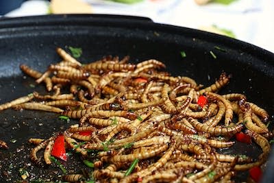 Los gusanos de la harina pueden elaborarse de distintas formas, por ejemplo salteados con verduras. Wikimedia Commons