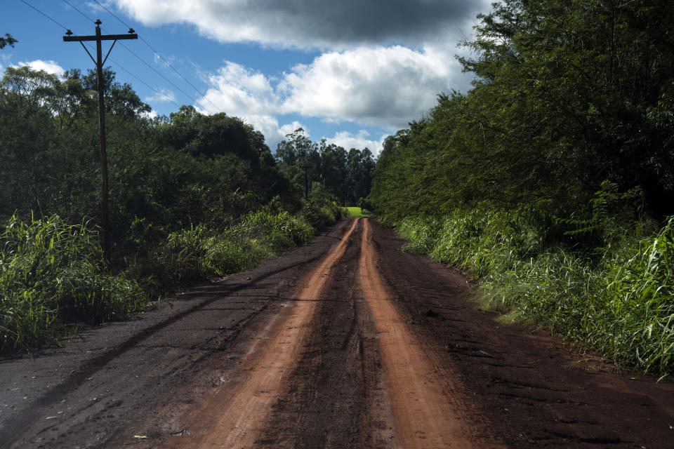 A road in Andresito, in Argentina's Misiones Province, Wednesday, April 17, 2024. The steamy grasslands of Argentina’s northeast Misiones Province is the center of the world's maté production. (AP Photo/Rodrigo Abd)