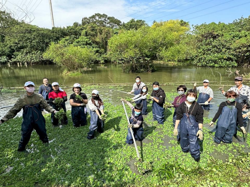 明緯企業員工及眷屬共同移除入侵外來種守護濕地。   圖：新北市環保局提供