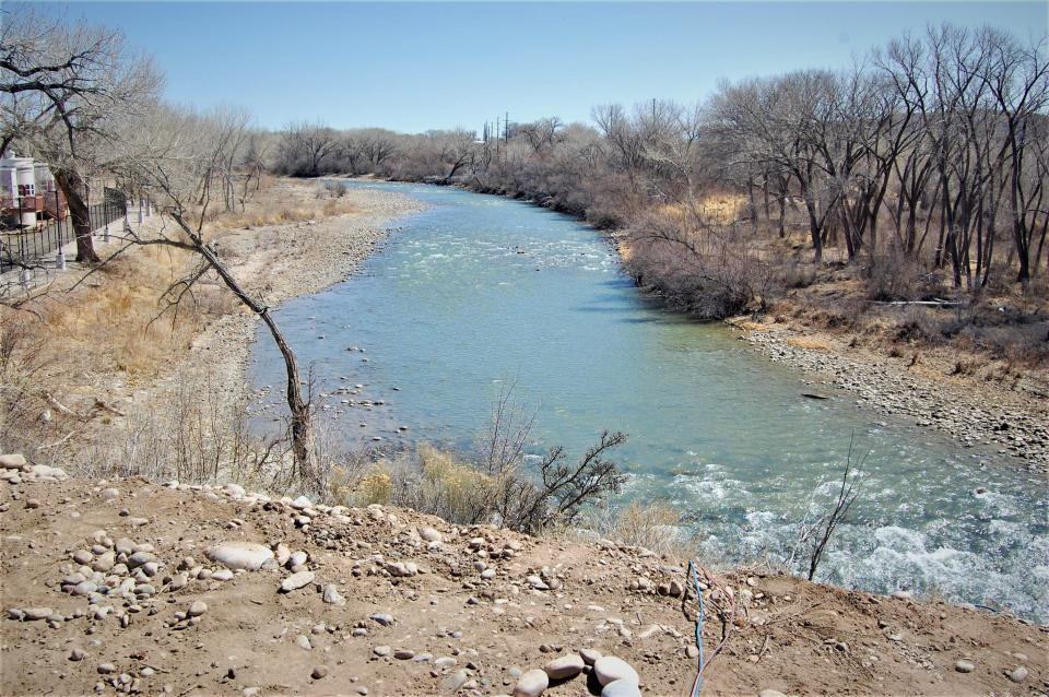 A total of 17 proposals for restoration projects on the Animas and San Juan rivers have been received by state officials who are responsible for awarding $10 million in lawsuit settlement money derived from the 2015 Gold King Mine spill.