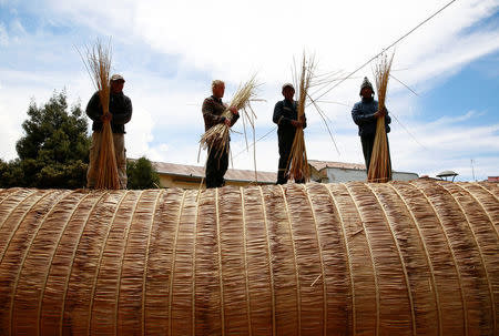 Builders hold totora reeds on the 'Viracocha III', a boat made only from the reed, as it is being prepared to cross the Pacific from Chile to Australia on an expected six-month journey, in La Paz, Bolivia, October 19, 2016. REUTERS/David Mercado