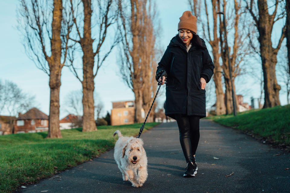 A young woman wrapped up in a winter coat and beanie walks her fluffy white dog in a park