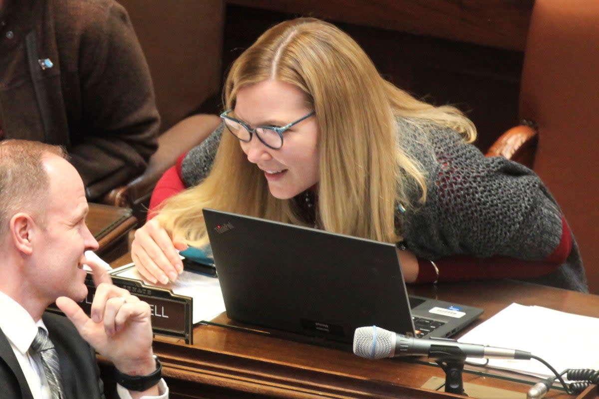 Democratic State Senator Nicole Mitchell, right, of Woodbury, speaks with Senator Robert Farnsworth, the state Senate (AP)