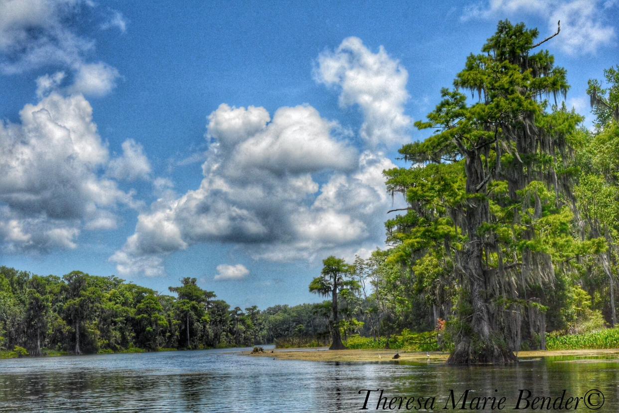 A view of Wakulla Springs