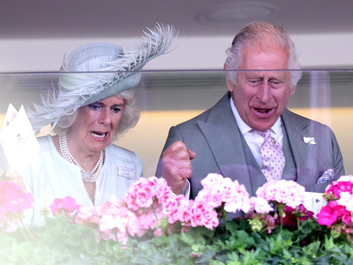King Charles and Camilla celebrate the moment their horse Desert Hero wins on day three of Royal Ascot 2023