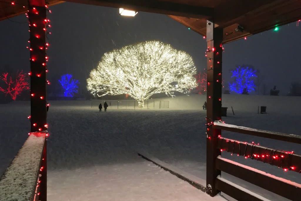 Tree of Light Holiday Lights, Draper City Park, Draper City, Utah