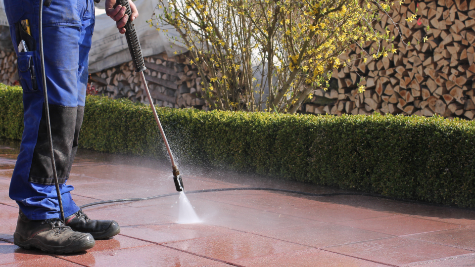 Your plants and flowers may survive the smoke and layer of ash, as many are resilient enough. Be gentle in washing off the debris.